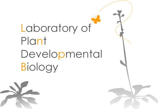 Laboratory of Plant Developmental Biology Home Page