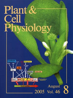 Cover_PCP05.jpg