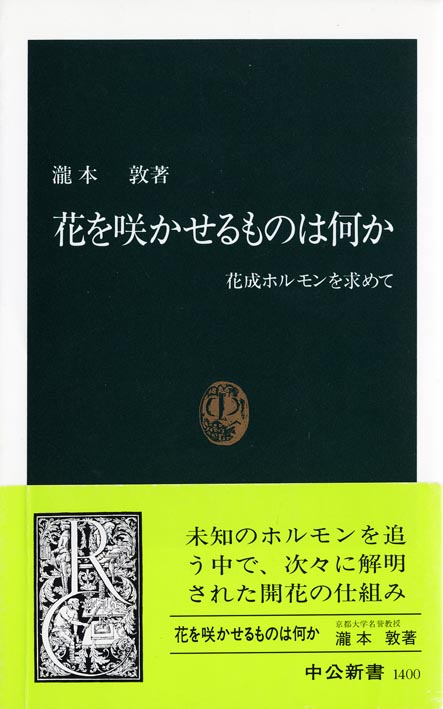 瀧本敦