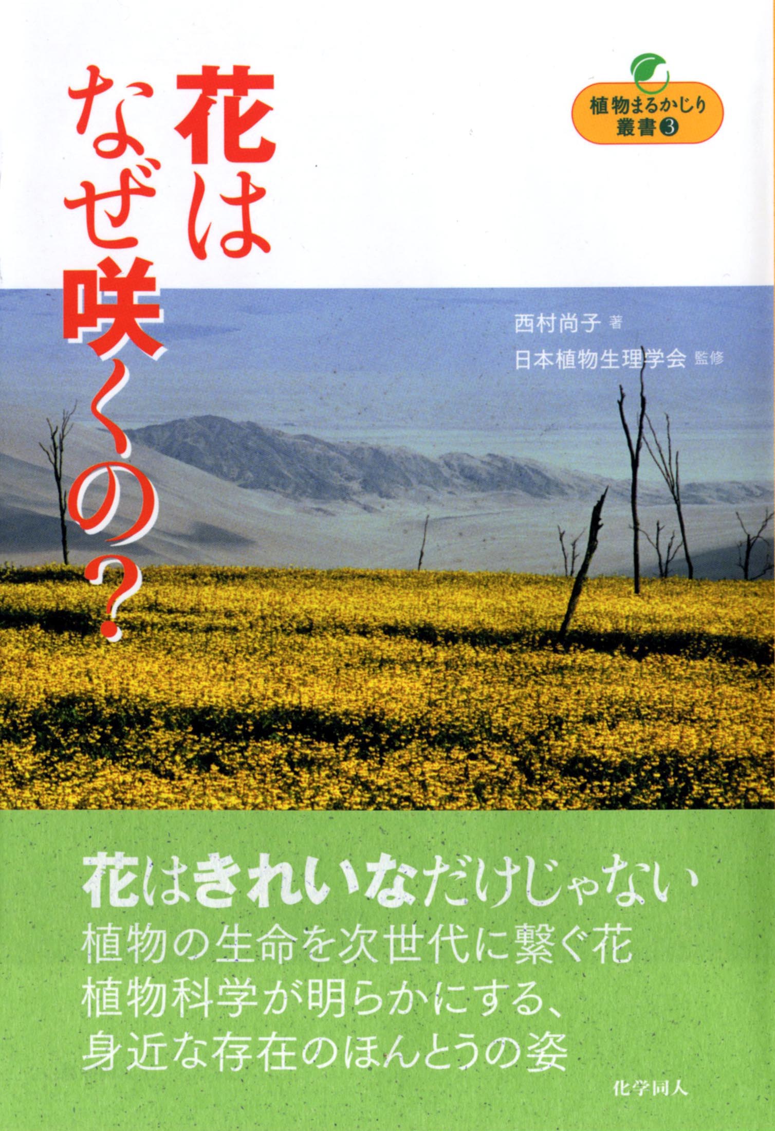 荒木崇